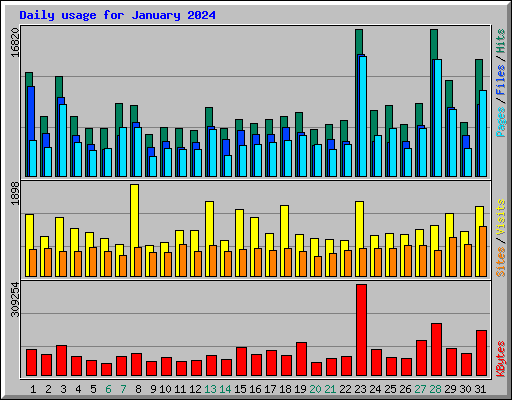 Daily usage for January 2024