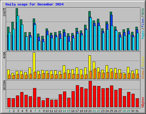 Daily usage for December 2024