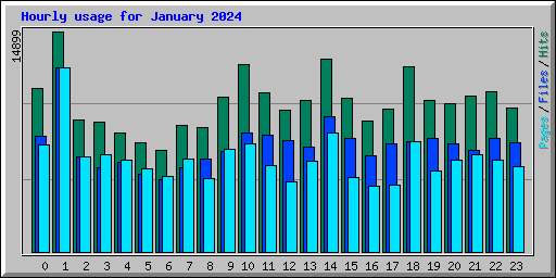 Hourly usage for January 2024