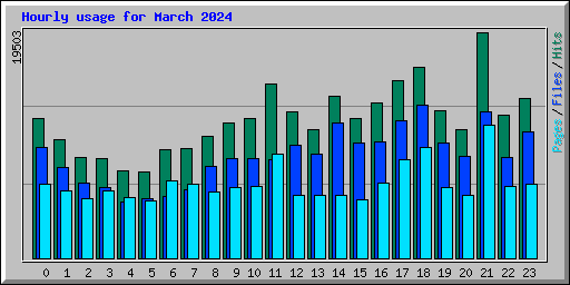 Hourly usage for March 2024