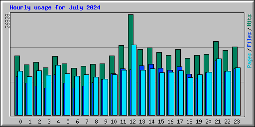 Hourly usage for July 2024