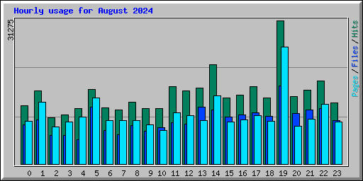 Hourly usage for August 2024