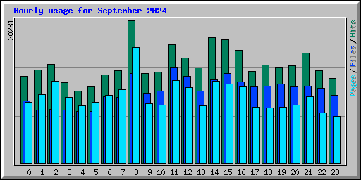 Hourly usage for September 2024