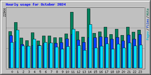 Hourly usage for October 2024