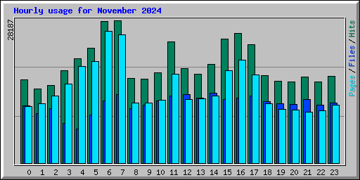 Hourly usage for November 2024