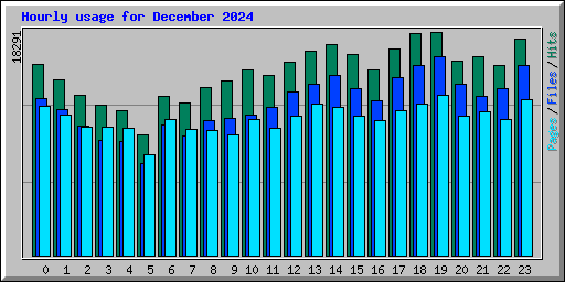 Hourly usage for December 2024