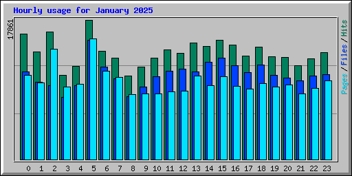 Hourly usage for January 2025