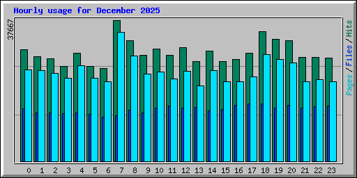 Hourly usage for December 2025