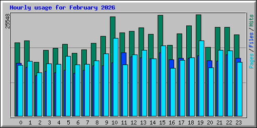 Hourly usage for February 2026